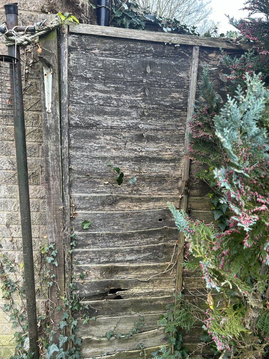 Chris Watts Photography tweet media