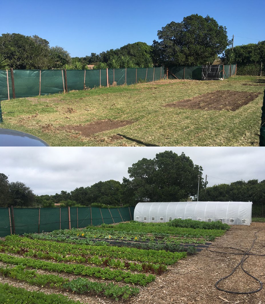 soil_based's tweet image. Let's have less lawn and more clean healthy food! 
#Regenerativeagriculture #SoilToTable #RegenerateOurSoil #soilhealth #soilcarbon