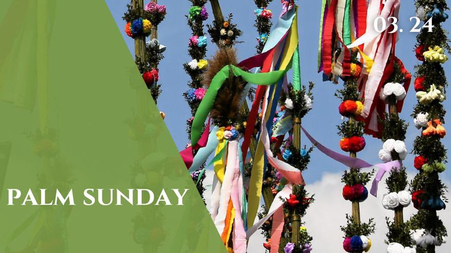 👉🏻 Today is Palm Sunday! ❓Did you know that every year in Łyse, a small town in Poland 🇵🇱 there is a competition to see who could construct the largest palm? 🌿🌸 The tallest one was almost 30 m tall!