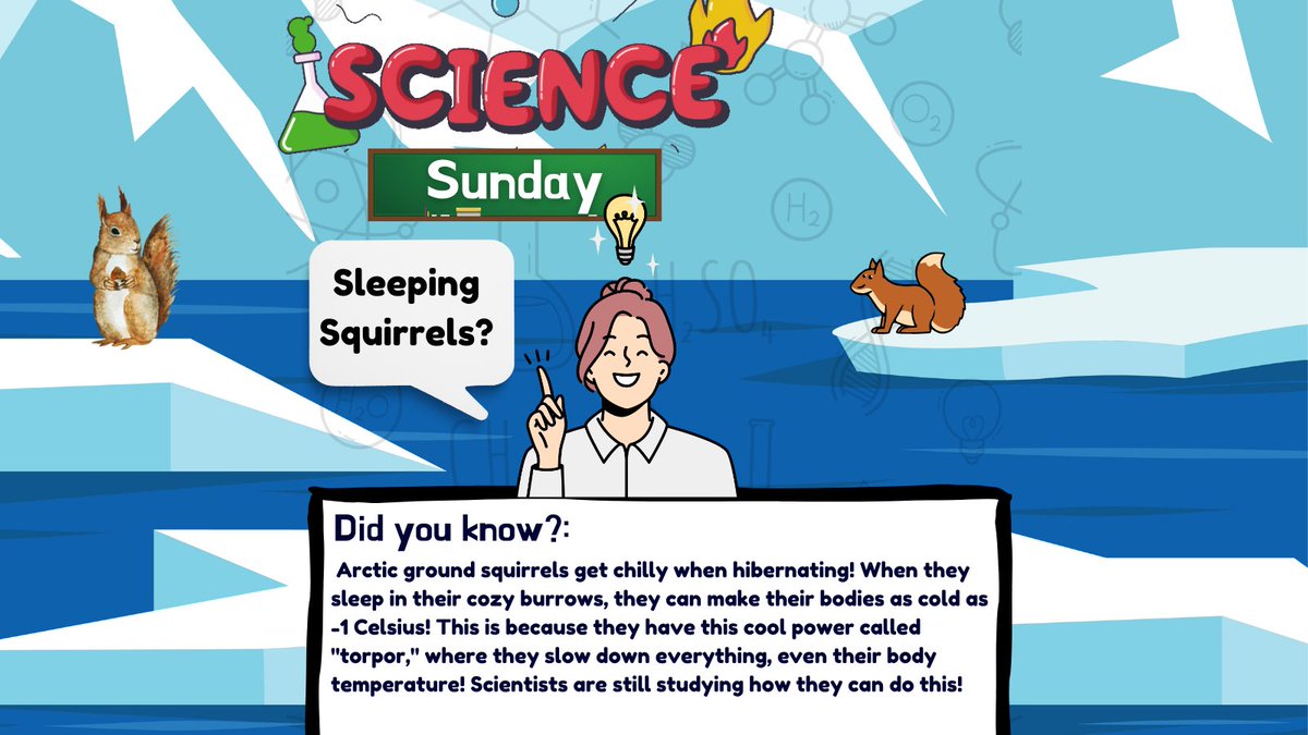 WesternuSciRen's tweet photo. This #ScienceSunday, did you know Arctic ground squirrels can drop their body temp to -1°C in hibernation?
It’s all thanks to their #creaturepower called 'torpor'! 🐿️❄️
#BiologyFacts #SciRenUWO #STEAMforkids #FunFacts #uwo #ldnont #westernu #STEAMforkids #animalfacts https://t.co/RnpAw2AEpL