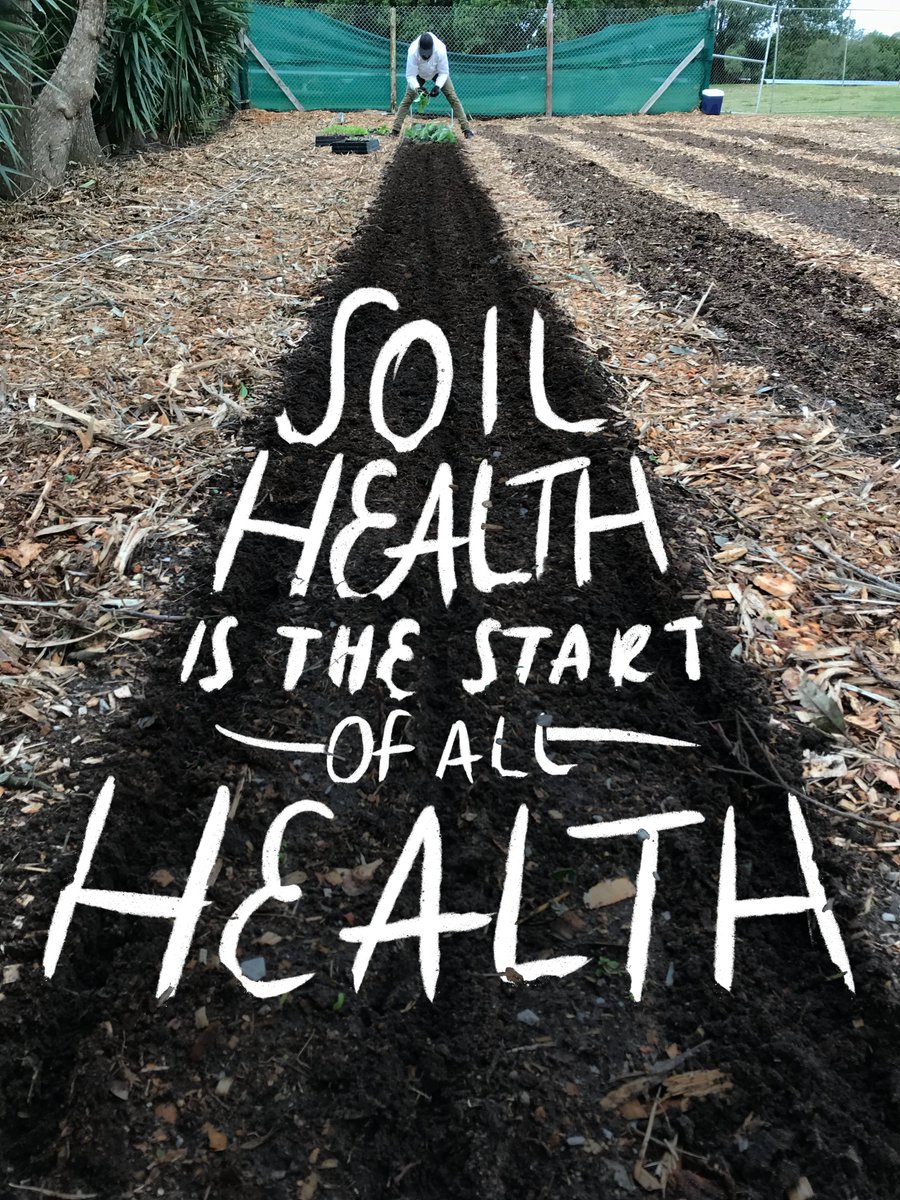 soil_based's tweet image. I think this one speaks for itself!

#soilhealth #humanhealth #savesoil #regenerativeag #marketfarm #urbanfarm #soilfoodweb #soilbiology #nodig #realfood #eatlocal #farmtotable