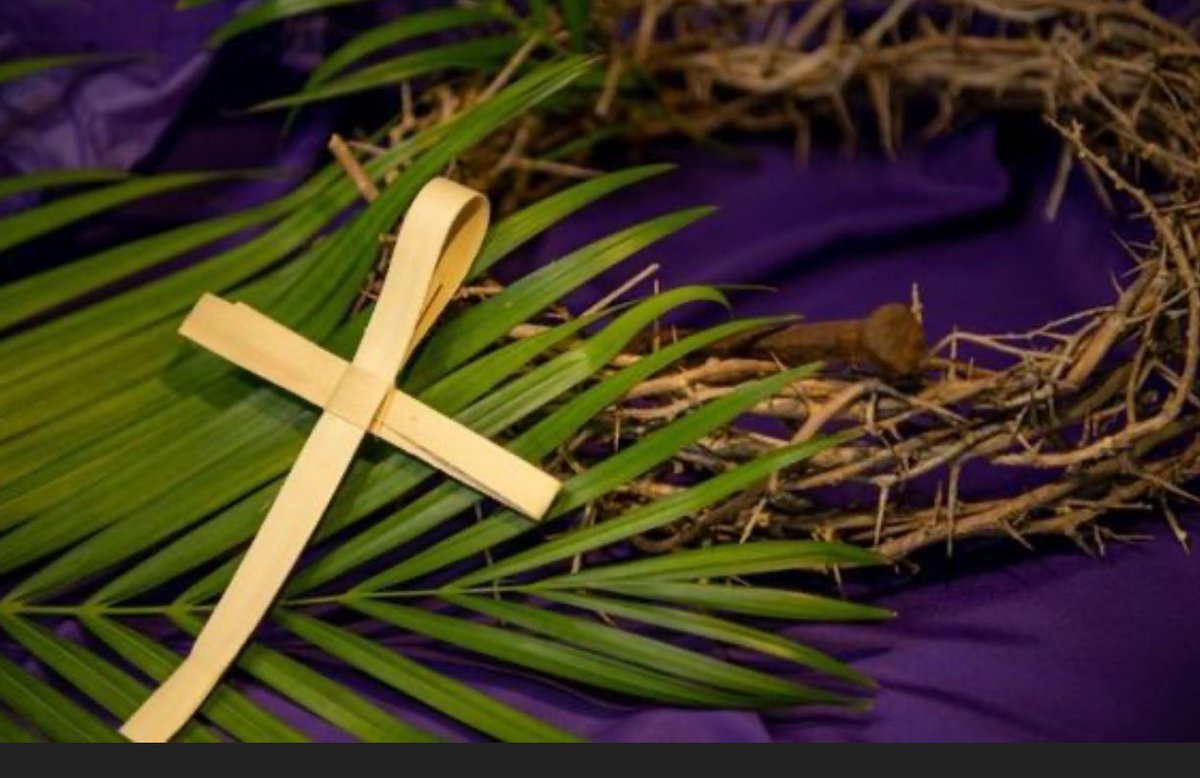 St. Thomas CES tweet media