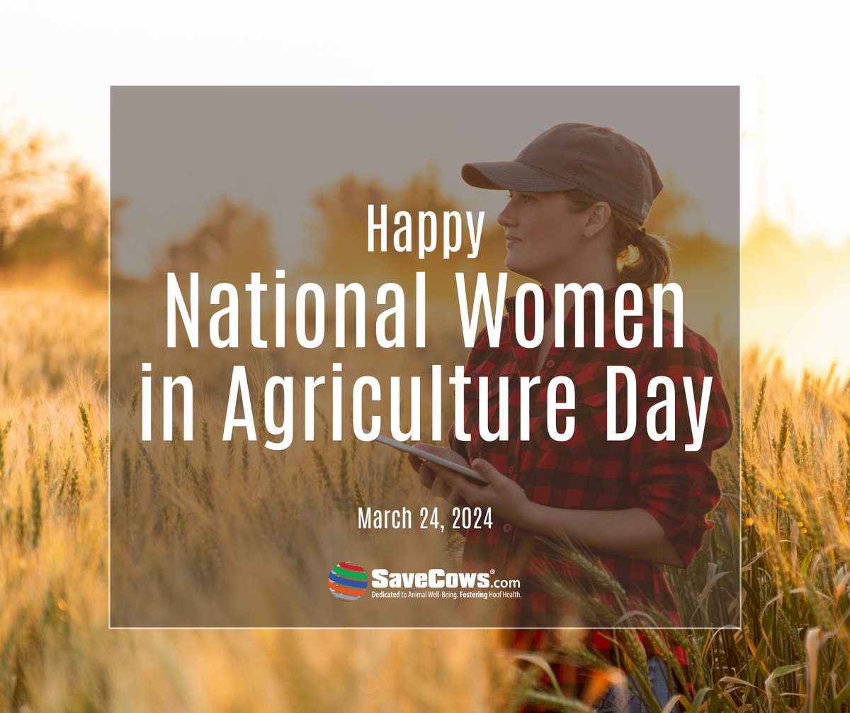 SAVE COWS® Network (@savecowsnetwork) on Twitter photo 