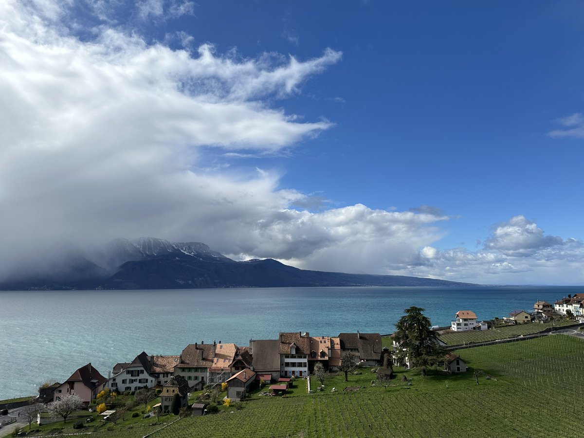 #Lavaux colors ⁦@MySwitzerland_e⁩