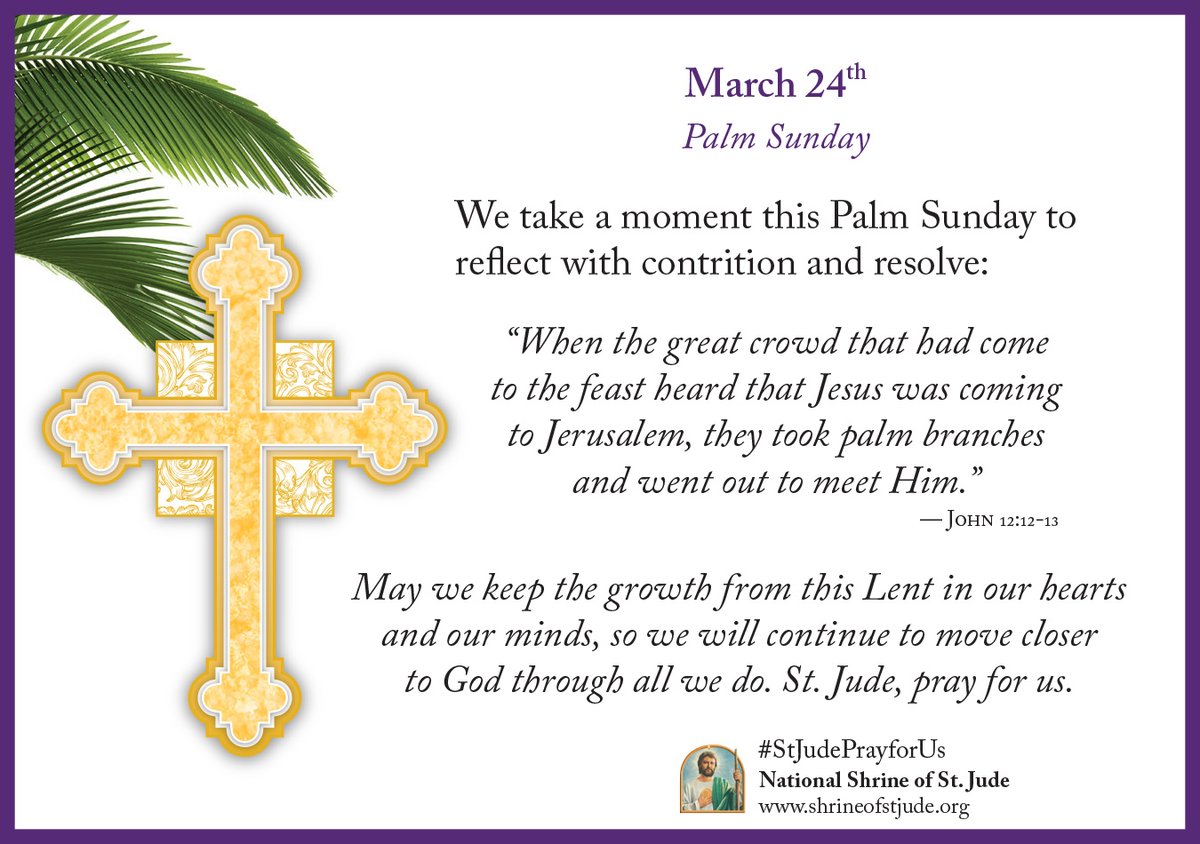 Holy Week Meditations - March 24, 2024: Palm Sunday

Video: bit.ly/24palmsunday
Holy Week Meditations: bit.ly/holyweekmedita…

-

#lent #reflect #faith #stjude #saintjude #catholic #pray #prayer #stjudeprayforus #holyweek #palmsunday #God