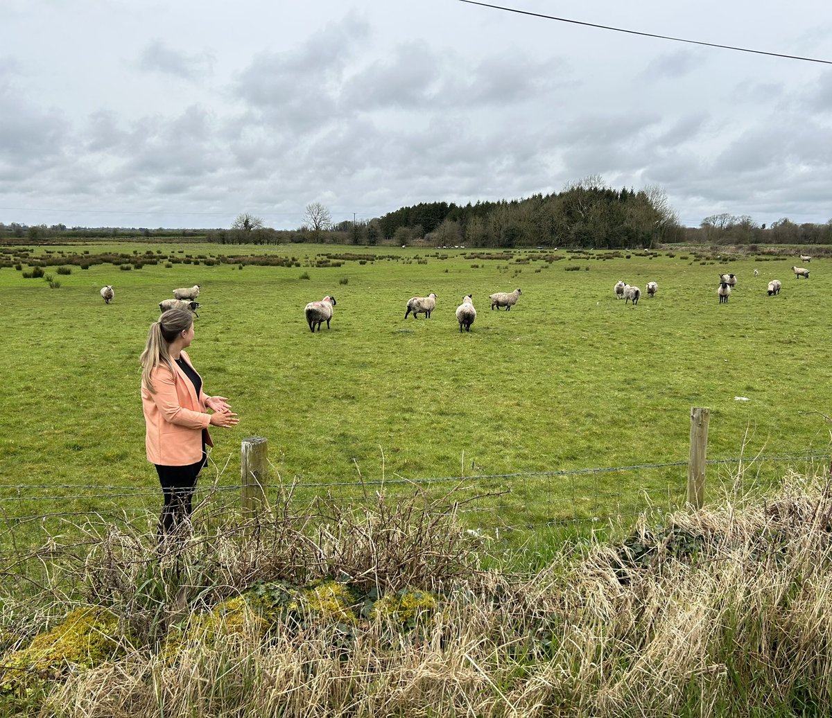 CllrEmerKelly's tweet photo. Lot of multi-tasking involved in being a councillor!

Quick break from canvassing today to help a ewe stuck in the fence.  🐑

#womeninpolitics #womeninfarming #localelection2024 #le24 https://t.co/bT75BRDEF4