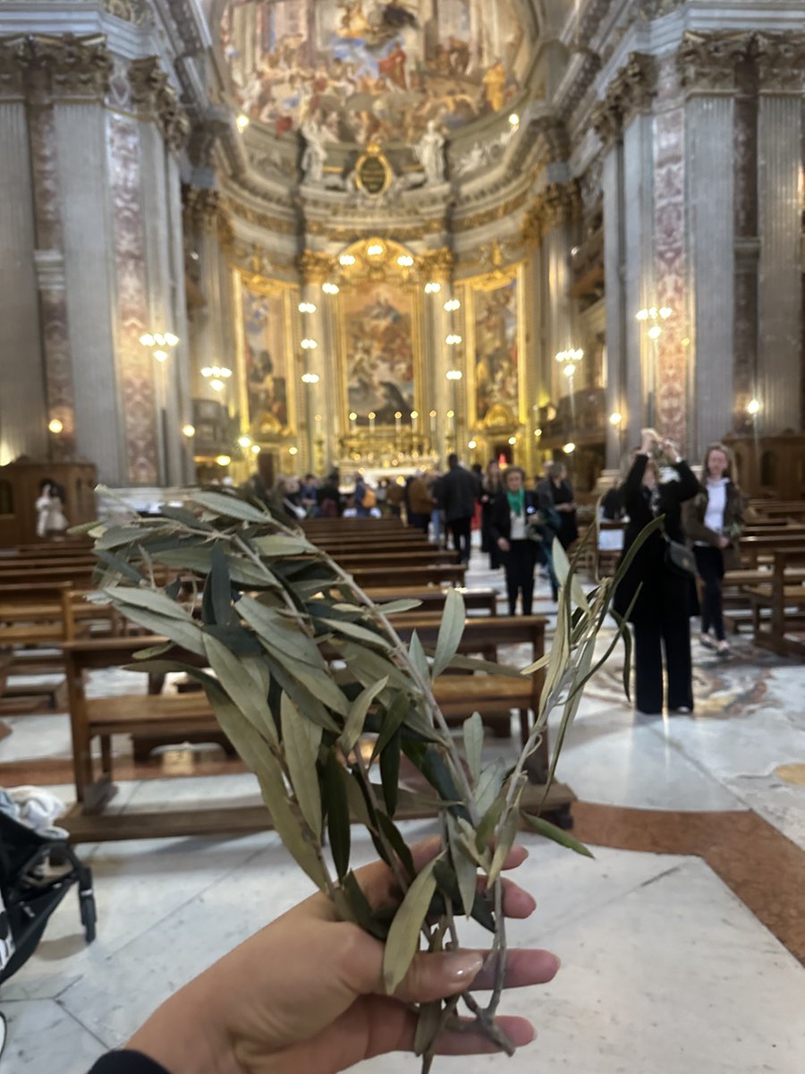 Wishing you all a blessed Palm Sunday from Rome! Christ is King! ✝️
