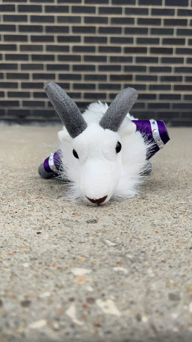 Headed to the best place to cheer on our Cats! @KStateWBB #gapgoat #marchmadness @HomefieldApparl