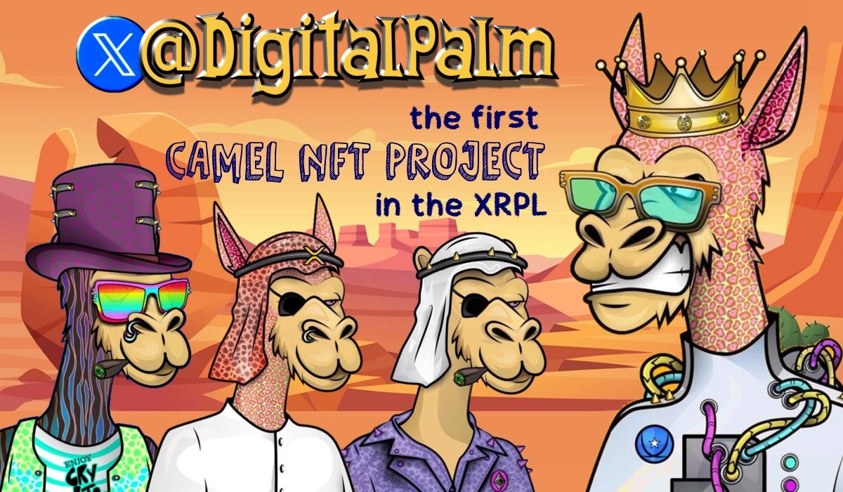 DigitalPalm's tweet image. ‼️DP ANNOUNCEMENT‼️

69 more mints of Gen 2 and our whole community will recieve 💯 of the rewards from our #CoreBit validator

Its raining #Coreum in DP headquarters 🧪🧪

Find out more 
discord.com/invite/sePsCMRp

Mint a Gen2
xmart.art/collections/Di…