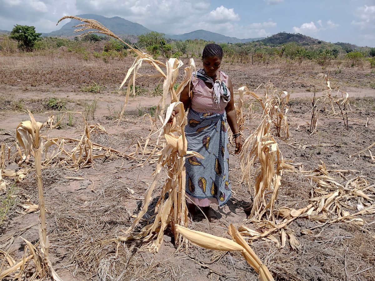 VTondelo's tweet image. crastanzania.org prioritizes vulnerable and marginalized women and girls in rural areas for climate adaptation and resilience in Tanzania. It's hard to tell how much they suffer from droughts, floods, heatwaves, water scarcity, diseases, food insecurities, and conflicts.