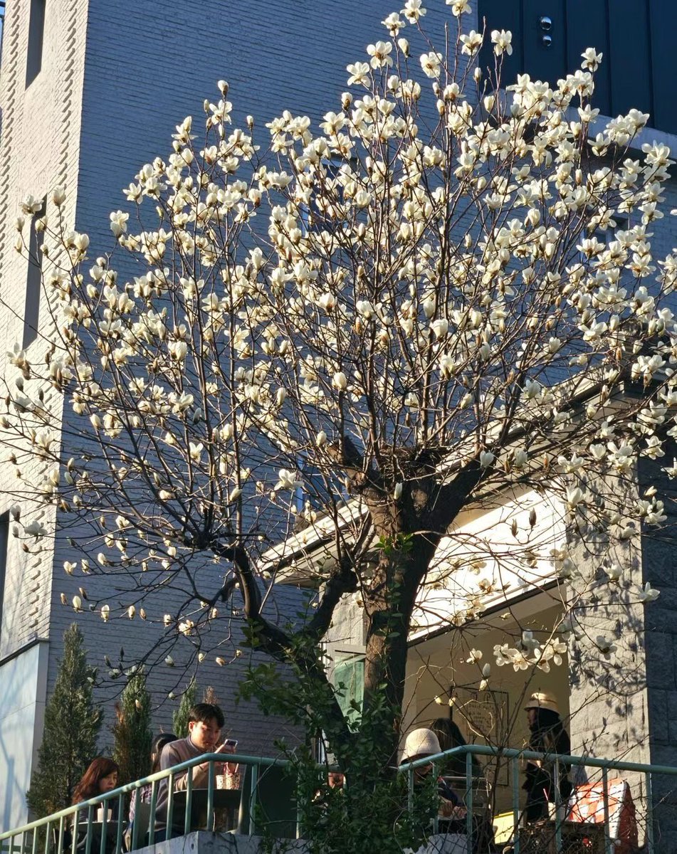 🇨🇳edge up(互fo💯💯💯) tweet media