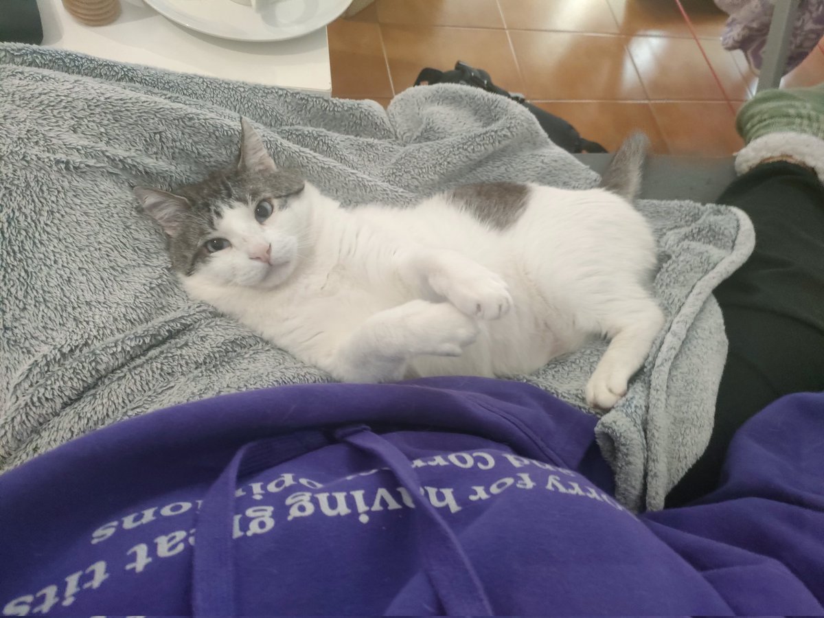 wilmonscrumbs24's tweet image. don't break the chain !!! 
lockscreen
last song you listened to
7th pic in gallery
2 mutuals: @julia40072 @malecsrcse