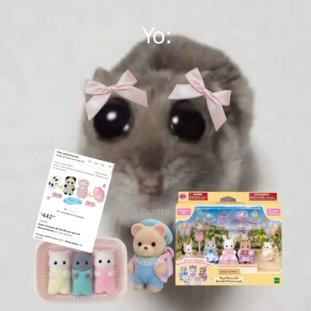 /ᐠ - ˕ -マ tweet media