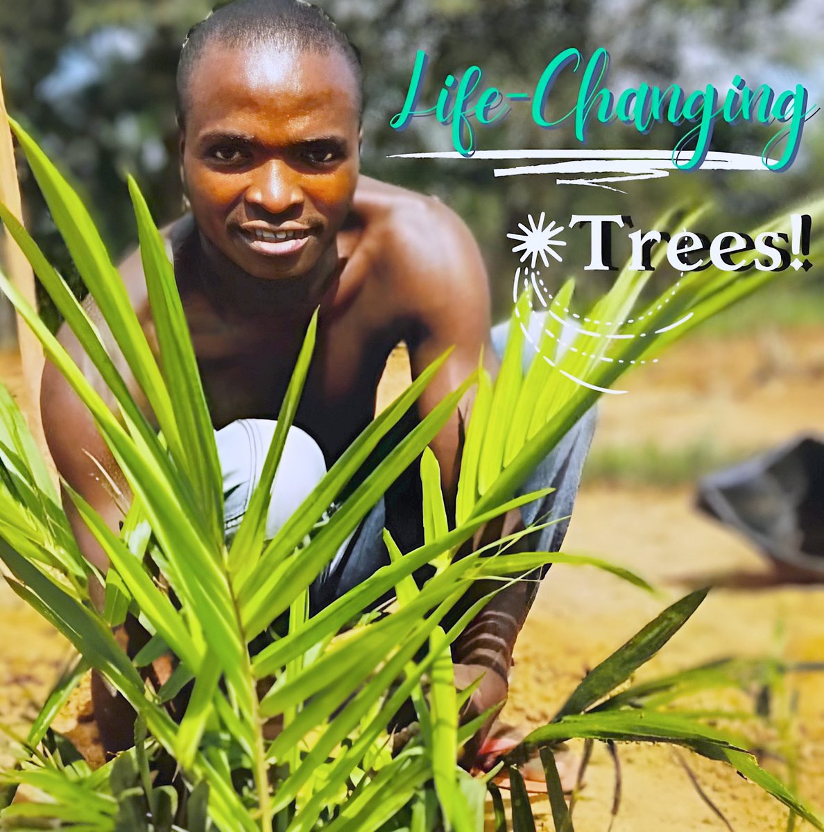 Plant Hope with the "Trees Good" Gift Card! With each purchase of this special gift card, you're not just planting trees - you're nurturing the planet and supporting communities in Tanzania. Find out more about our gift cards by the link tanzdevtrust.org/product/trees-…
 #TDT #Shop