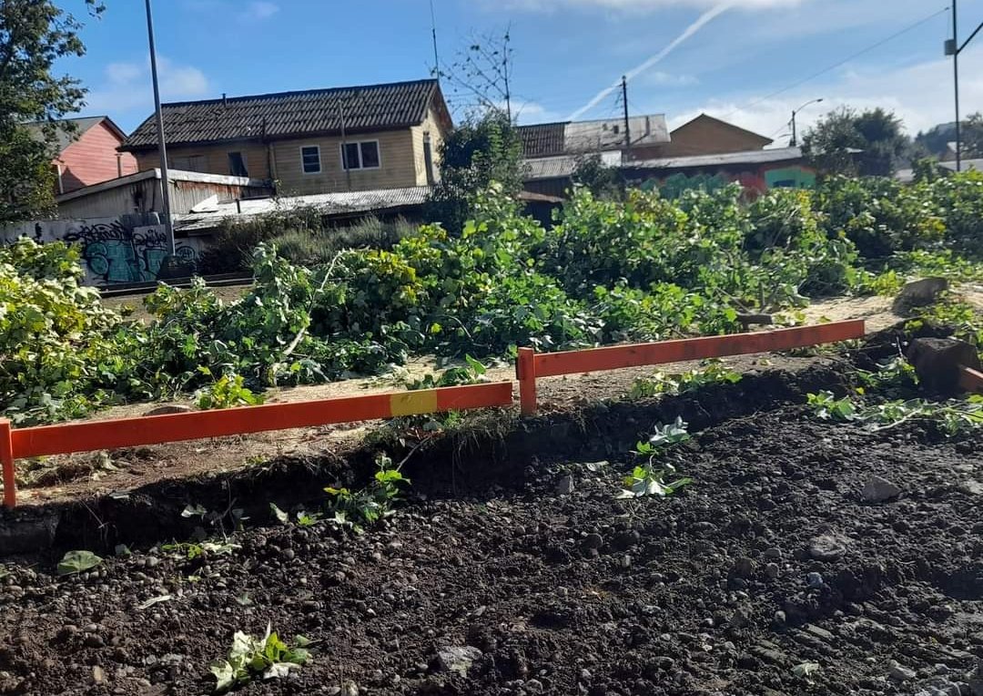 En tiempos dónde cuidar la naturaleza es vital para la continuidad de nuestra propia existencia; <a href="/municipiotemuco/">Municipalidad Temuco</a> en pos del progreso decide terminar con toda la arboleda (arboles sanos) que se extiende por toda la calle Imperial 😡😥
#Temuco 
#Medioambiente
