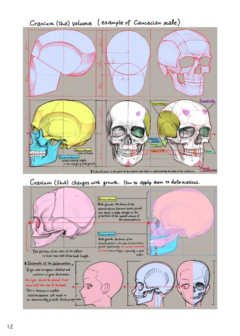 I think the skull is a very good motif for illustration. 