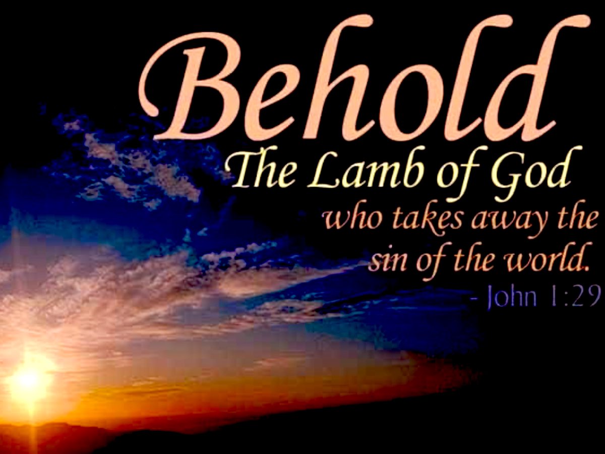The next day John seeth Jesus coming unto him, and saith, Behold the Lamb of God, which taketh away the sin of the world. ~JOHN 1:29 (KJV)