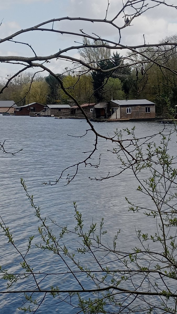 Le printemps est bien arrivé à la Galiotte. L'air est frais, mais le soleil pointe son nez. La végétation sort peu à peu de l'hibernation.