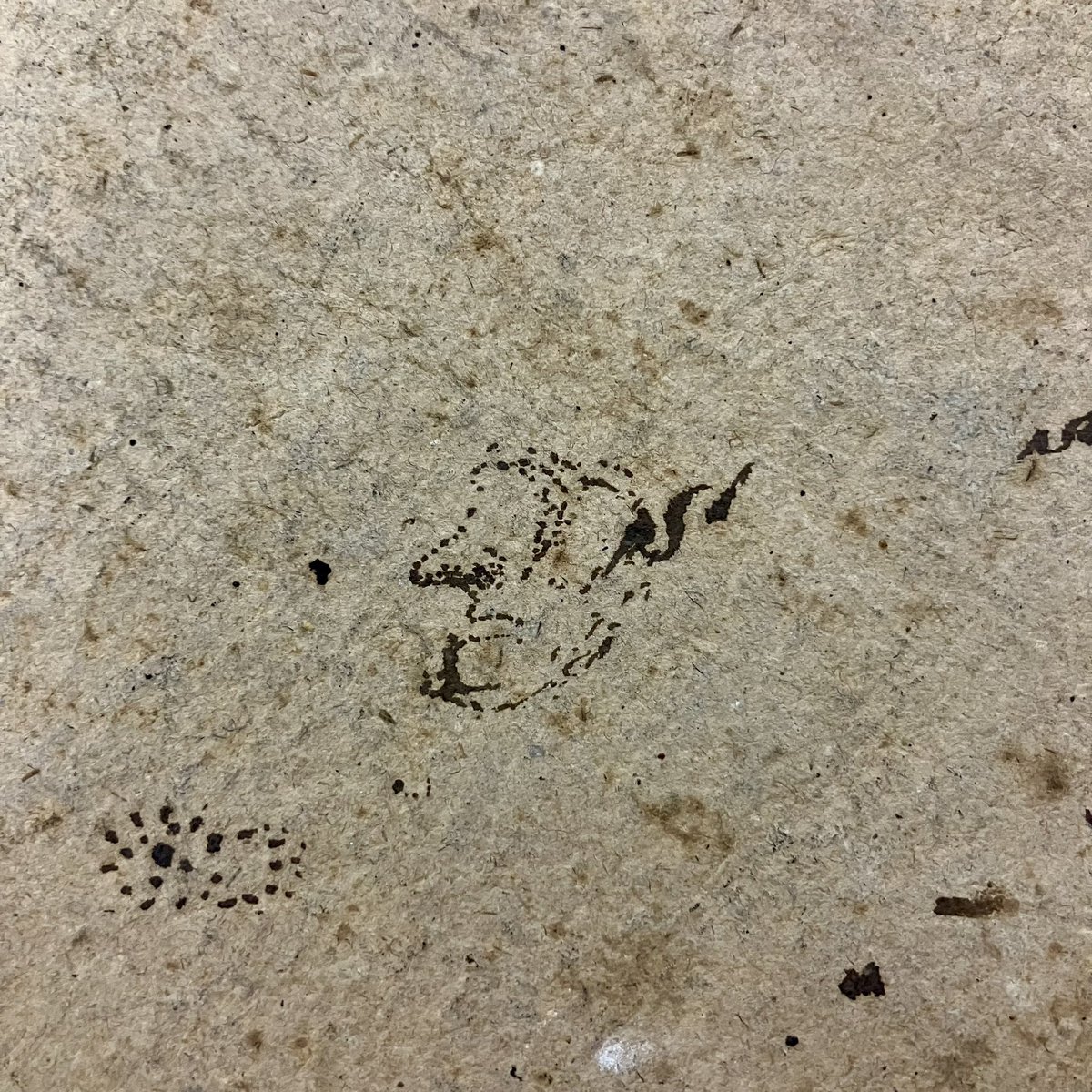 Tellement de questions sur ces #griffonnages repérés sur un #registre de #recensement #militaire du 19e s.
Quel est le rapport entre Constantinople, Andrinople, Bellegarde et Oriol ? Pourquoi Fontainebleau ? Est-ce un couteau au milieu de l'image ?

#viedarchiviste #archives