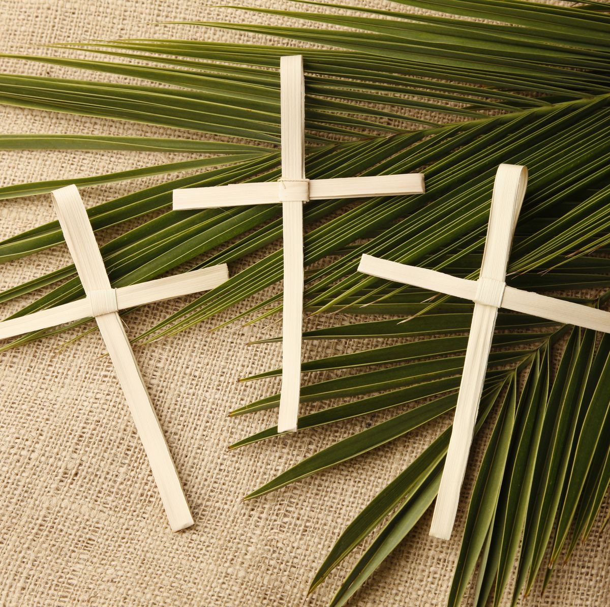 “When the great crowd that had come to the feast heard that Jesus was coming to Jerusalem, they took palm branches and went out to meet him, and cried out ‘Hosanna! Blessed is he who comes in the name of the Lord, the king of Israel.” (John 12: 12-13) #PalmSunday2024