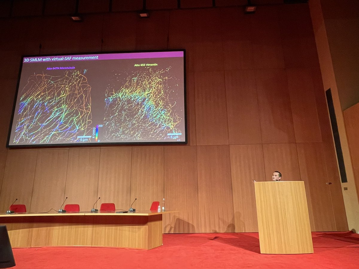 Congrats to @LE_Laurent_ for the nice presentation at #FOM2024 on flux demixing in SMLM with 2D multi targets imaging up to 3, but also 3D imaging with DONALD for 2 targets ! Come also to chat with him for the poster on flim tomorrow. @ISMOlab_Orsay