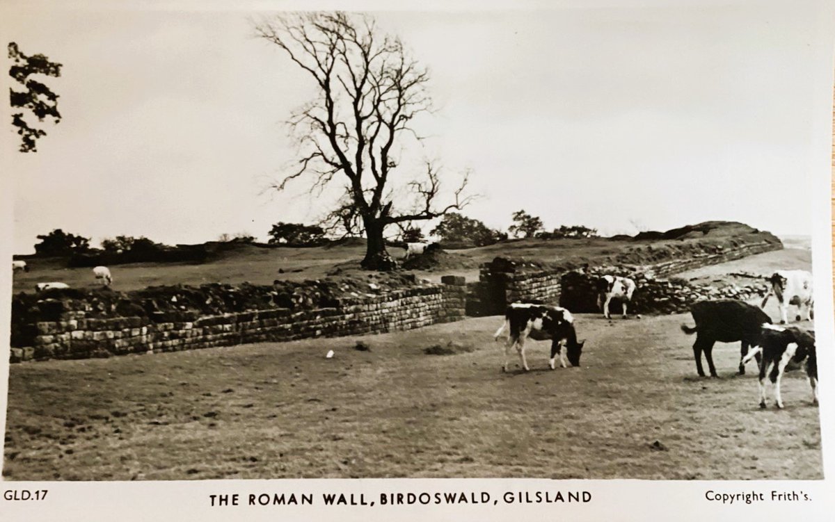 The old postcard shows a nice view of the west gate at Birdoswald/Banna on Hadrian's Wall. The S/W corner -tower top right appears not excavated (as of now too) but the large tree centre has now vanished.