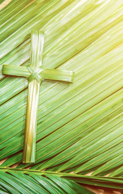 thaimartinelli's tweet photo. Hoje é Domingo de Ramos, início de uma semana muito importante para nós cristãos, tempo de renovação espiritual!

“Hosana ao Filho de Davi: bendito seja o que vem em nome do Senhor, o Rei de Israel; hosana nas alturas”

Deixe Nosso Senhor entrar em teu coração! Bom dia! 😍💚🌿🙌🏼 https://t.co/7Pukx6Jc9d