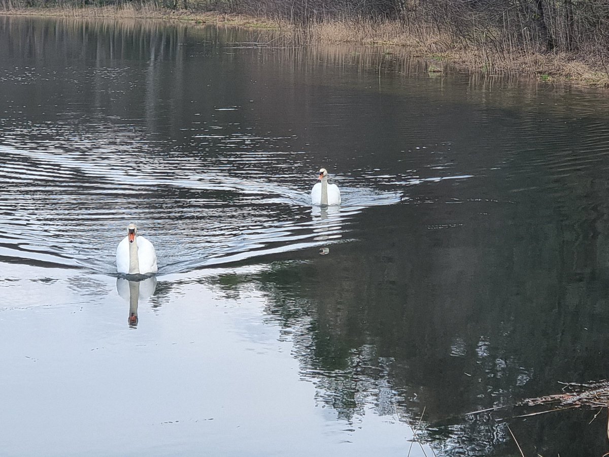 MariuszMachnik's tweet image. #Kaszuby♥️