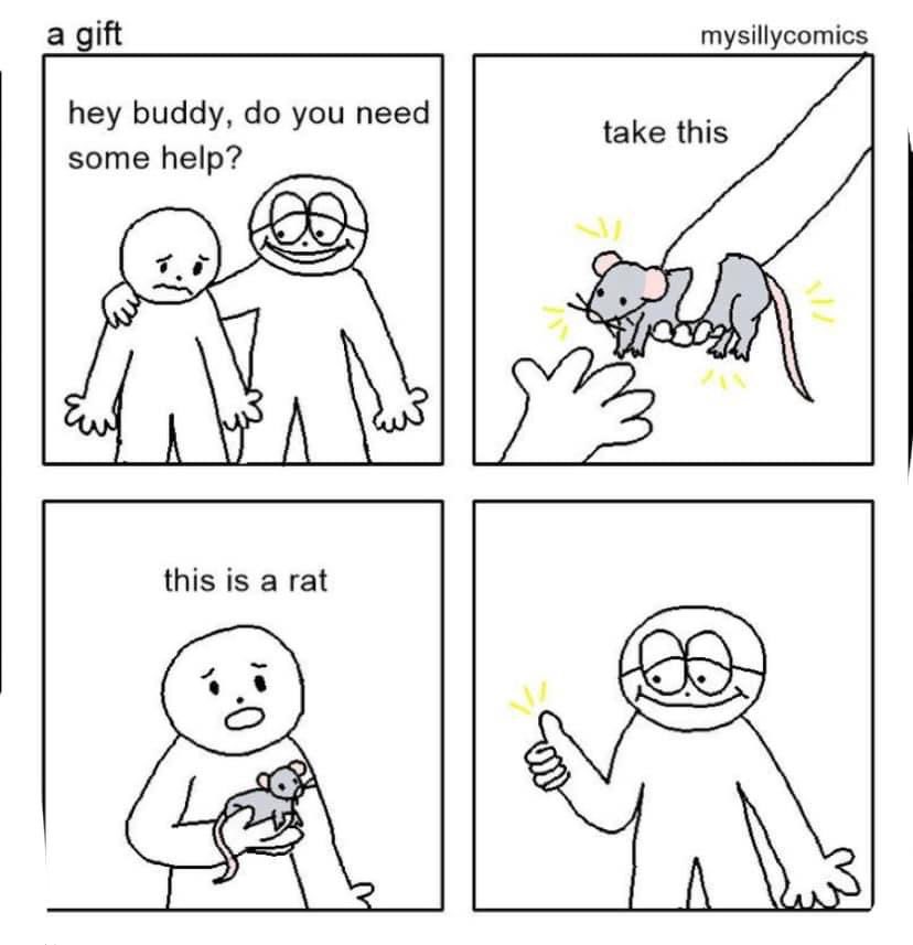a bunch of rats✨ (@ratspicnic) on Twitter photo 