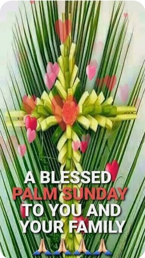 Evelyn Okakwu (@eveokakwu) on Twitter photo 