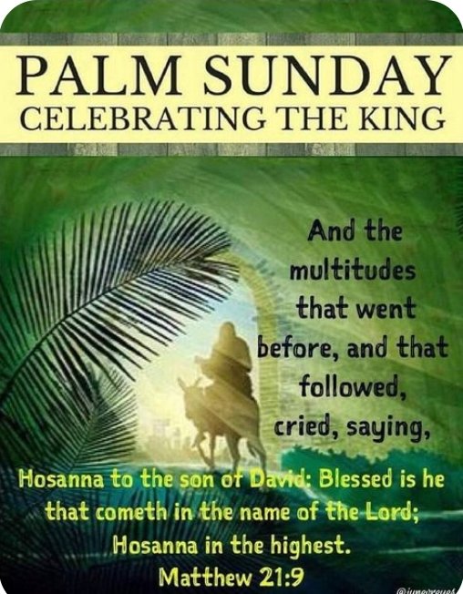 Evelyn Okakwu (@eveokakwu) on Twitter photo 