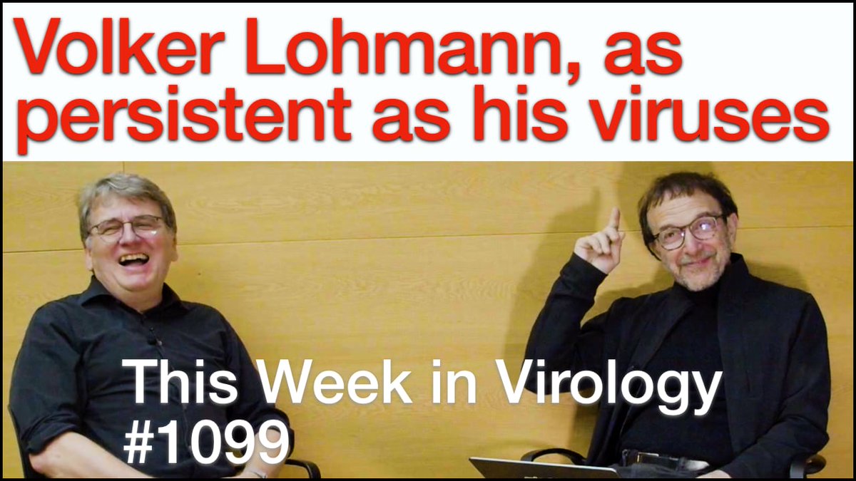 TWiV 1099: Volker Lohmann, as persistent as his viruses 🦠 Vincent travels to the University of Heidelberg to speak with Volker Lohmann about his career and the research of his laboratory on hepatitis C virus, hepatitis A virus, and norovirus. 📺 bit.ly/3IRE4mD