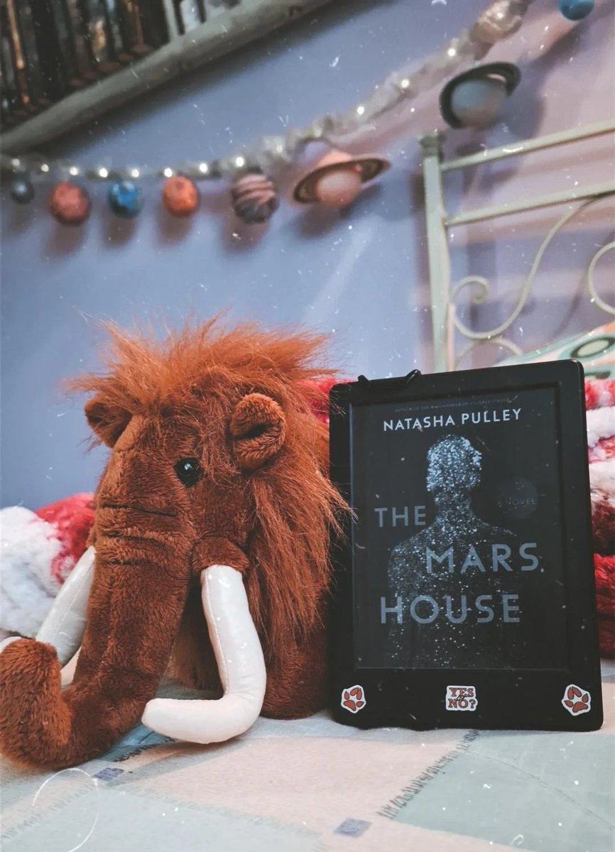 I just risked my life on a ladder to take this little guy out of my old plushies storage box. He'll stay with me for the rest of the adventure.
For reference, I've just finished ch.38 of #TheMarsHouse, and I've already screamed 'MAMMOTHS' twice! @natasha_pulley