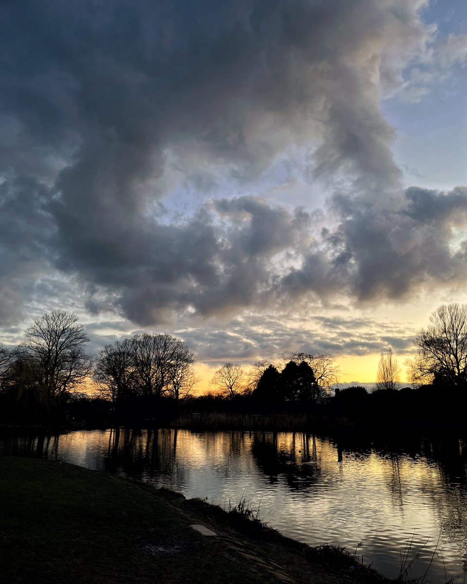 Princes Park Lake #reflected #reflection #water #ripples #lake #princespark #plants #trees #sun #sunset #sky #clouds #sillhouette #goldensky #dusk #afternoon #evening