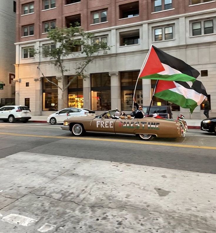 jacksonhinkle's tweet photo. ❤️🇵🇸 The WHOLE WORLD stands with PALESTINE! https://t.co/uHLS5zhSzJ