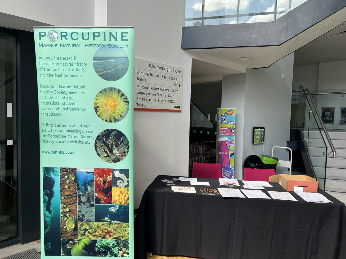 Porcupine Marine tweet media