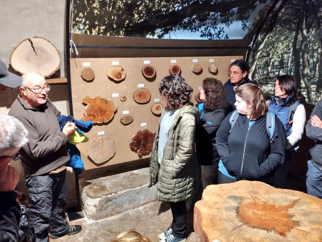 xarxaforestal's tweet photo. Bona participació a la Jornada de portes obertes al Centre Forestal de les IB #CEFOR, posant fi als actes de la Setmana Forestal 2024. Posant en valor els boscos insulars.
🌳🌲
#IntforestDay #Menut #serradetranuntana https://t.co/HDiwYYU5zS