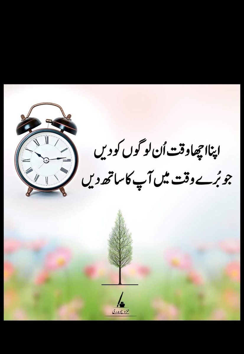 Good afternoon 💤💤💤💤