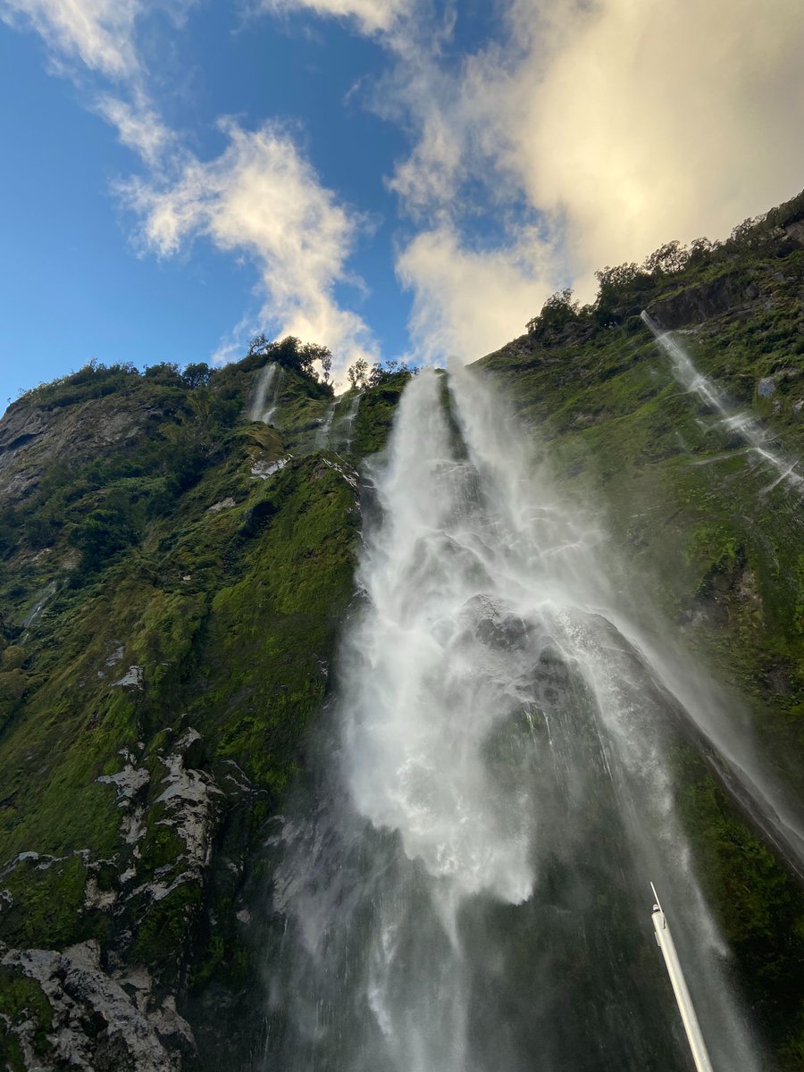 On a rainy day, hundreds of little waterfalls can be seen around Milford Sound. But if you go on a sunny day like we did, you'll just get to see the two permanent ones. Still, they were super impressive!