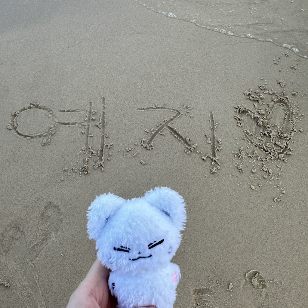 눈덩이 재판 입금 마지막 날입니다!🐾
10cm 인형은 추후 재판매 계획이 없으니 참고해주세요🖤