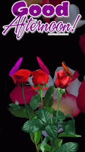 Jalletvarvig's tweet photo. @Apolonia1a Good afternoon beautiful friend https://t.co/SjmYCuzX37