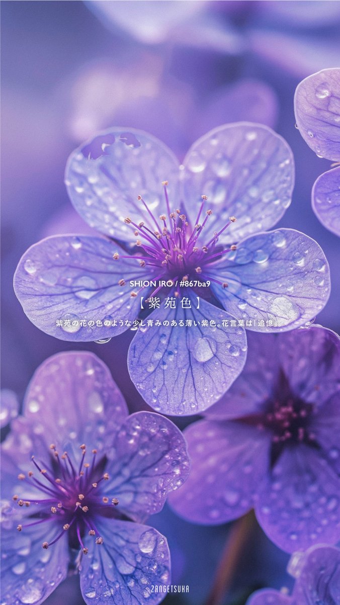 zangetsuka's tweet image. 美しい日本の色 -紫色-

Beautiful Japanese purple
#Japanesecolor #beautifulcolor #purple