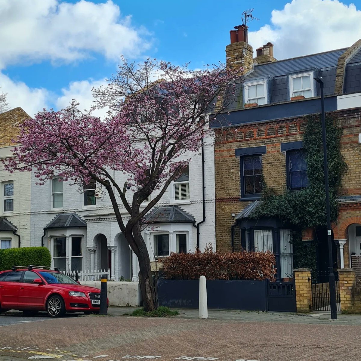 Brixton blossom