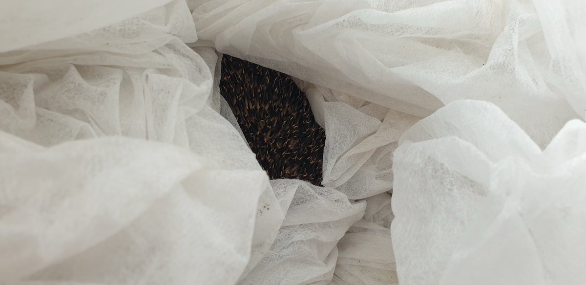 Steve Walker tweet media