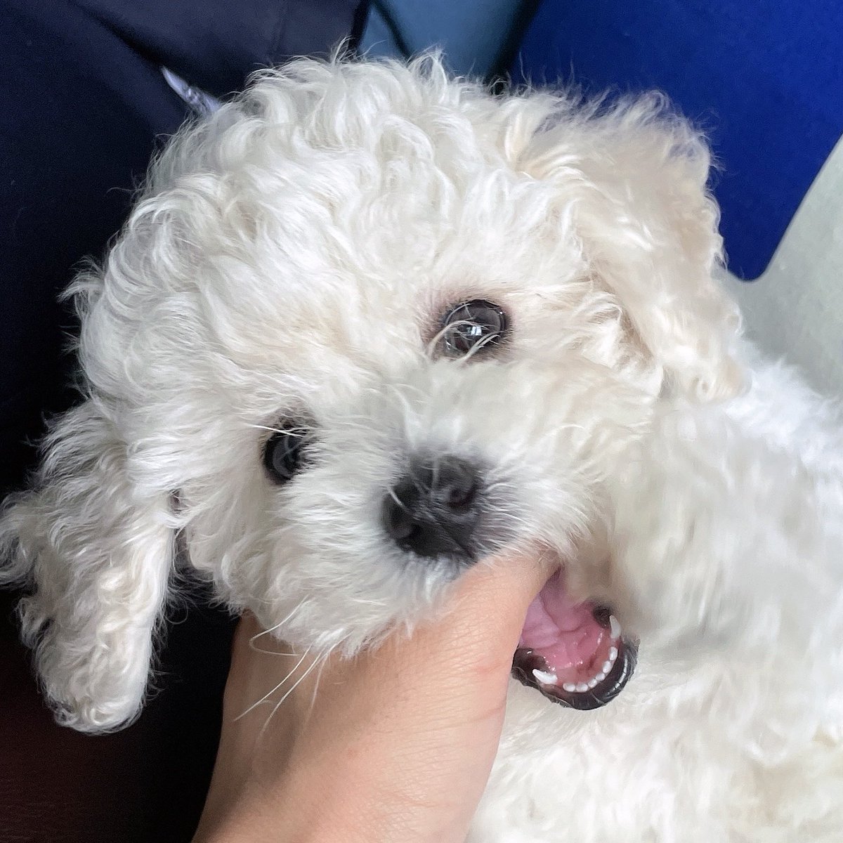 nyongkz's tweet photo. 몽가몽가빠마 ㅋㅋ https://t.co/wGoSwhcQZX