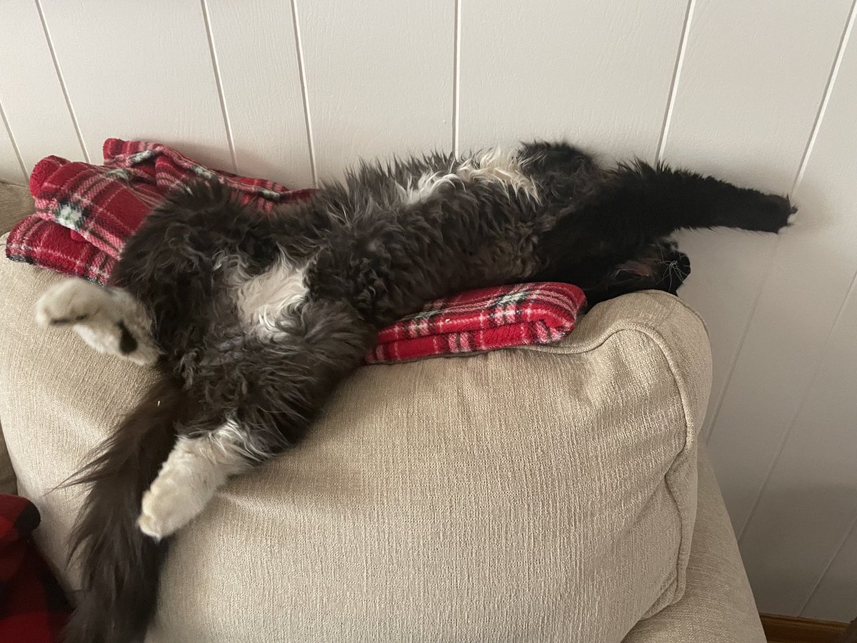 ⁦<a href="/greta/">Greta Van Susteren</a>⁩