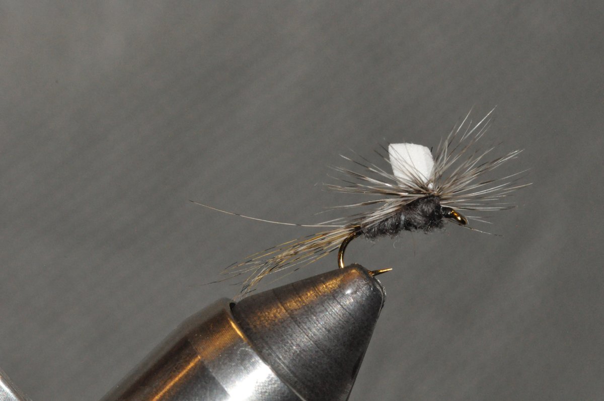 This is a ribbed Adams. Just messing with some classic fly patterns.
youtu.be/SplDfk8WZyQ
#Adams #Dryflies #flytying #troutflies #flyfishing #callaweginflyfishing