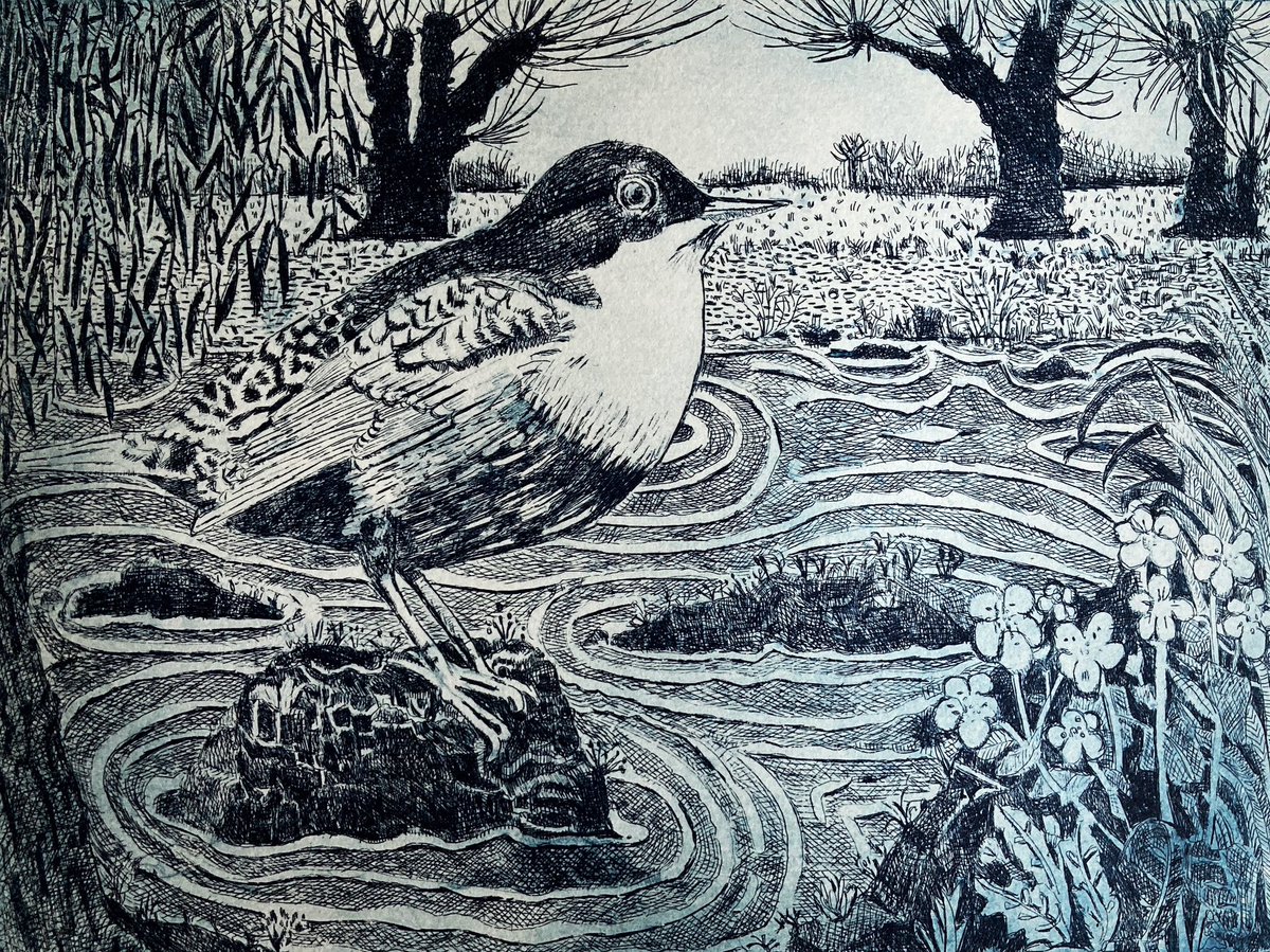 Janis Goodman tweet media