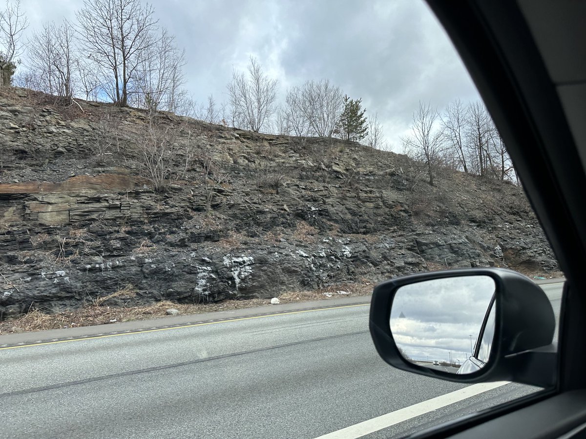 M. Pell (@_mpell_) on Twitter photo 