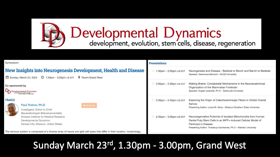 Want to know learn about brain development and function? Educators and Researchers, join us at 1.30pm today in Grand West for 'New Insights into Neurogenesis in Development, Health and Disease. Organized and sponsored by @DevelopmentalDy #anatomy24 @AIneurolab @myelineurogene